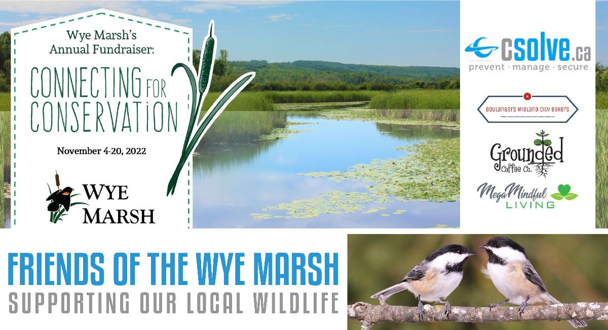 friends of the wye marsh